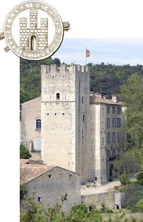 donjon château d'Esparron